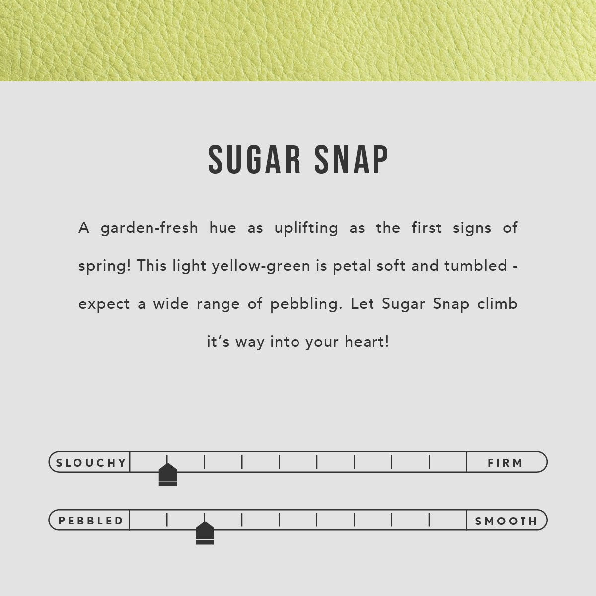 Sugar Snap | infographic