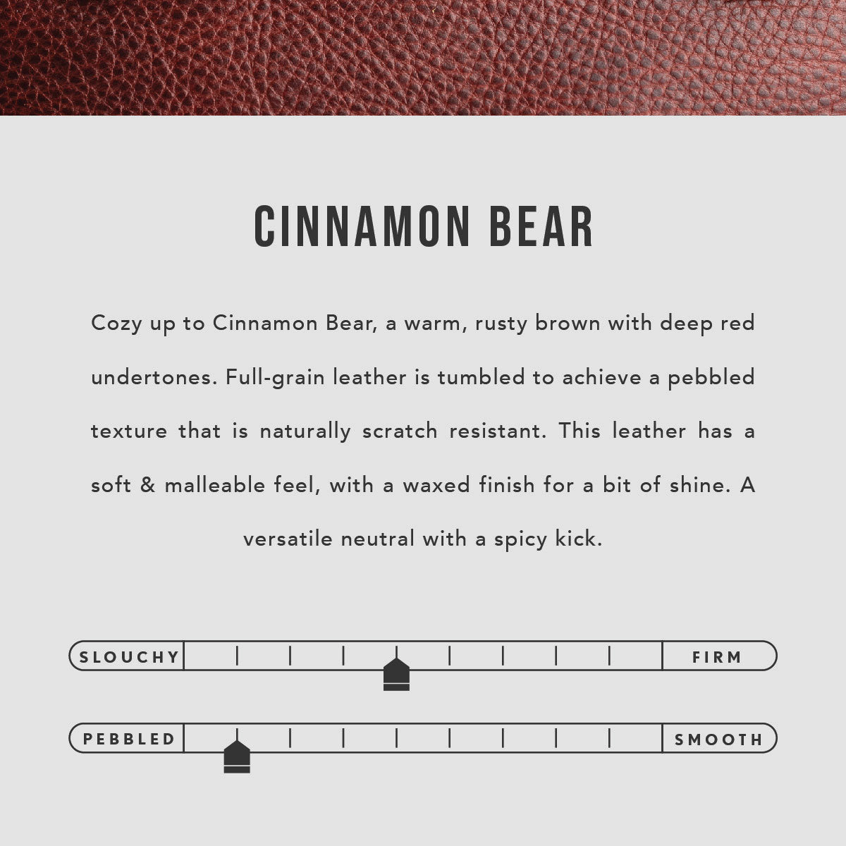  Cinnamon Bear | infographic