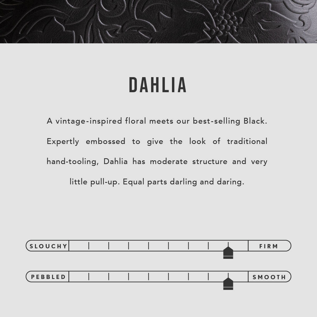  Dahlia | infographic