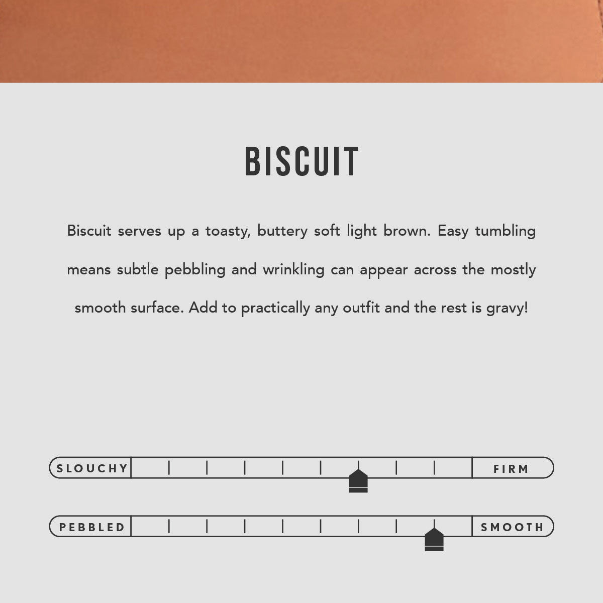  Biscuit | infographic