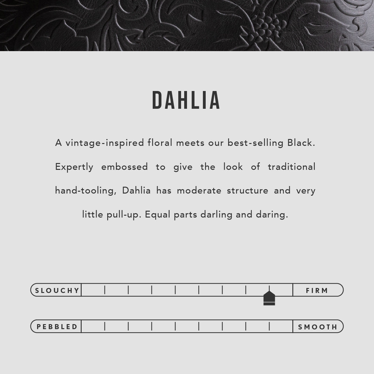 Dahlia | infographic