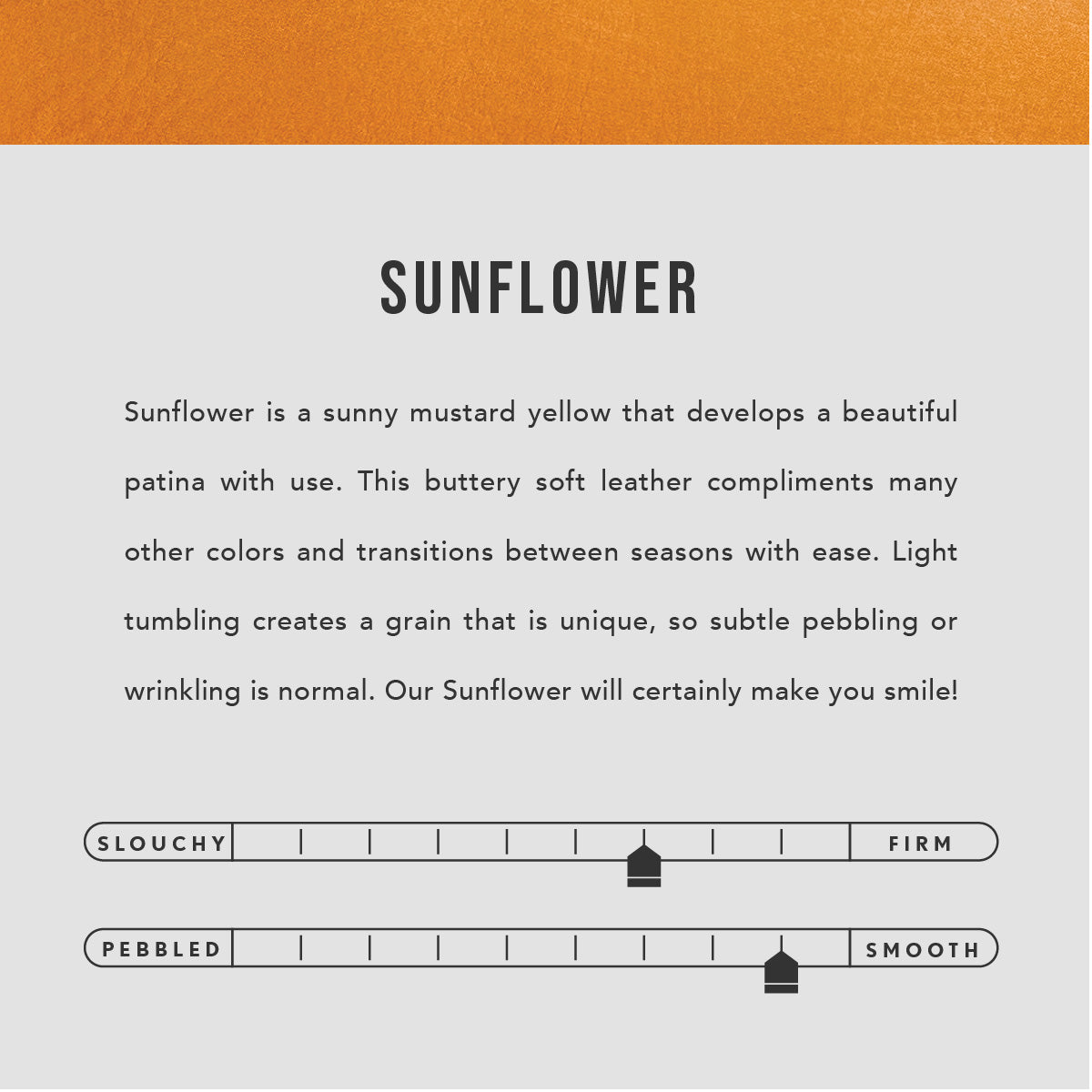 Folklore Sunflower | infographic