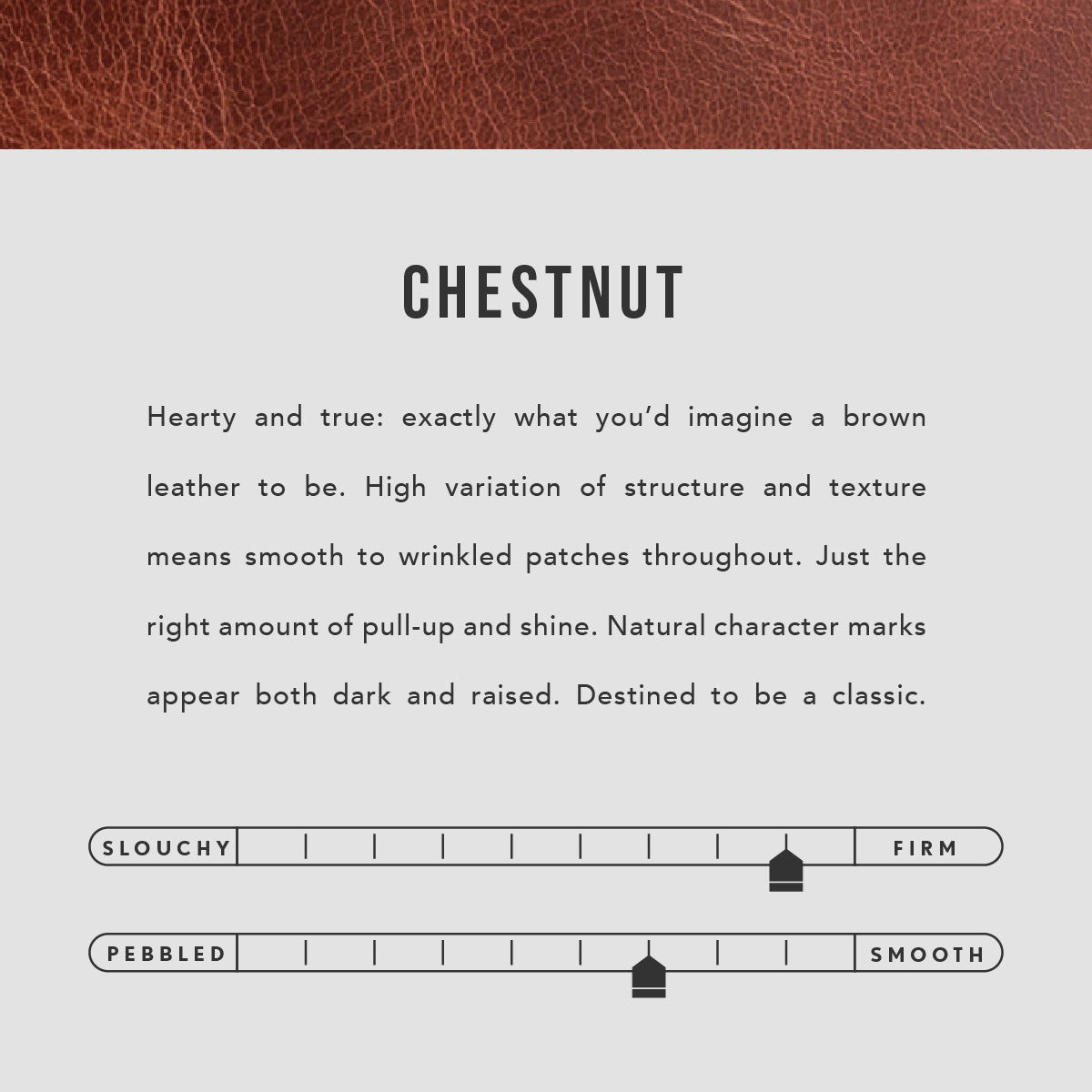 Chestnut | infographic