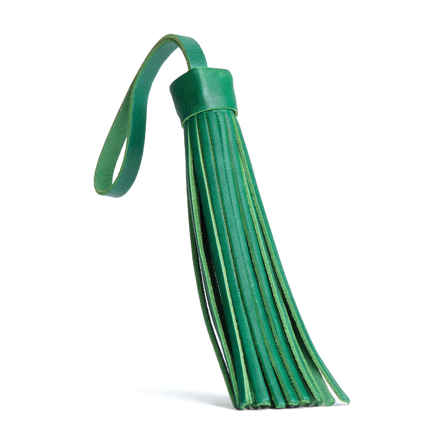 All Color: Cowboy Mint | Fringed leather tassel with leather loop