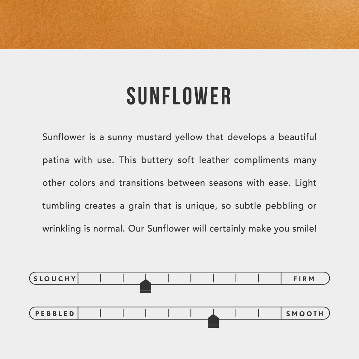  Sunflower | infographic